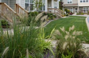 HOA natural grasses