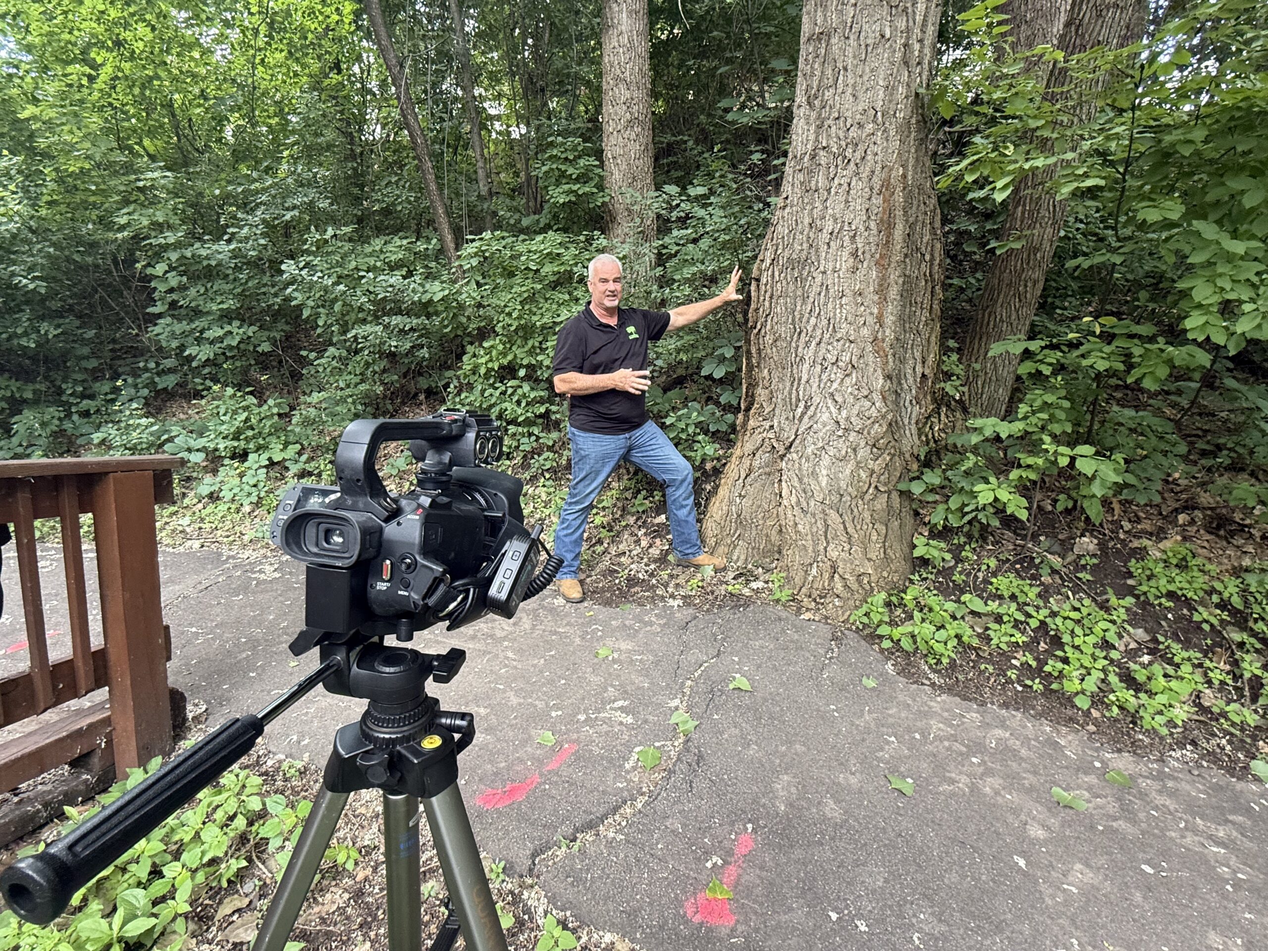 A tree walk around at Lakeville HOA