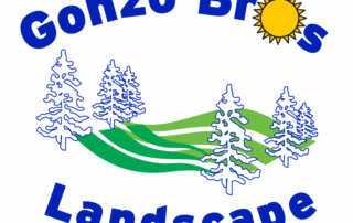 Gonzo Bros Landscape
