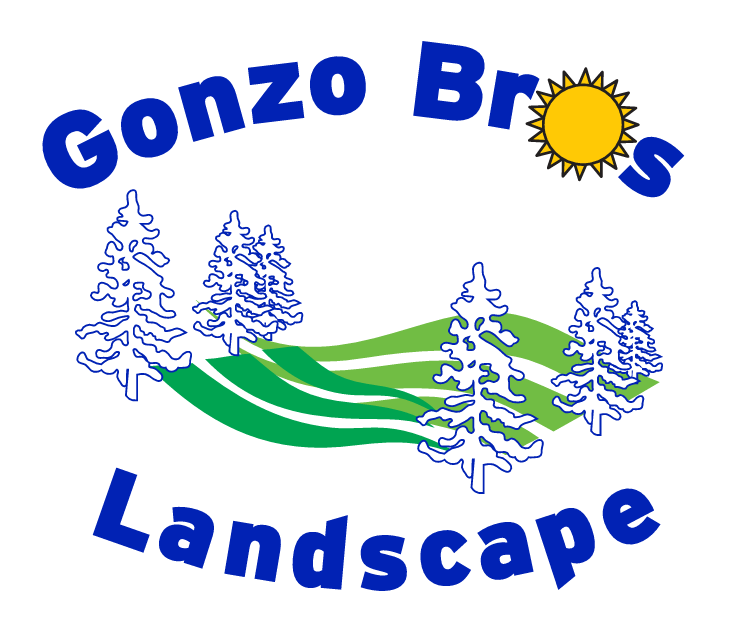 Gonzo Bros Landscape
