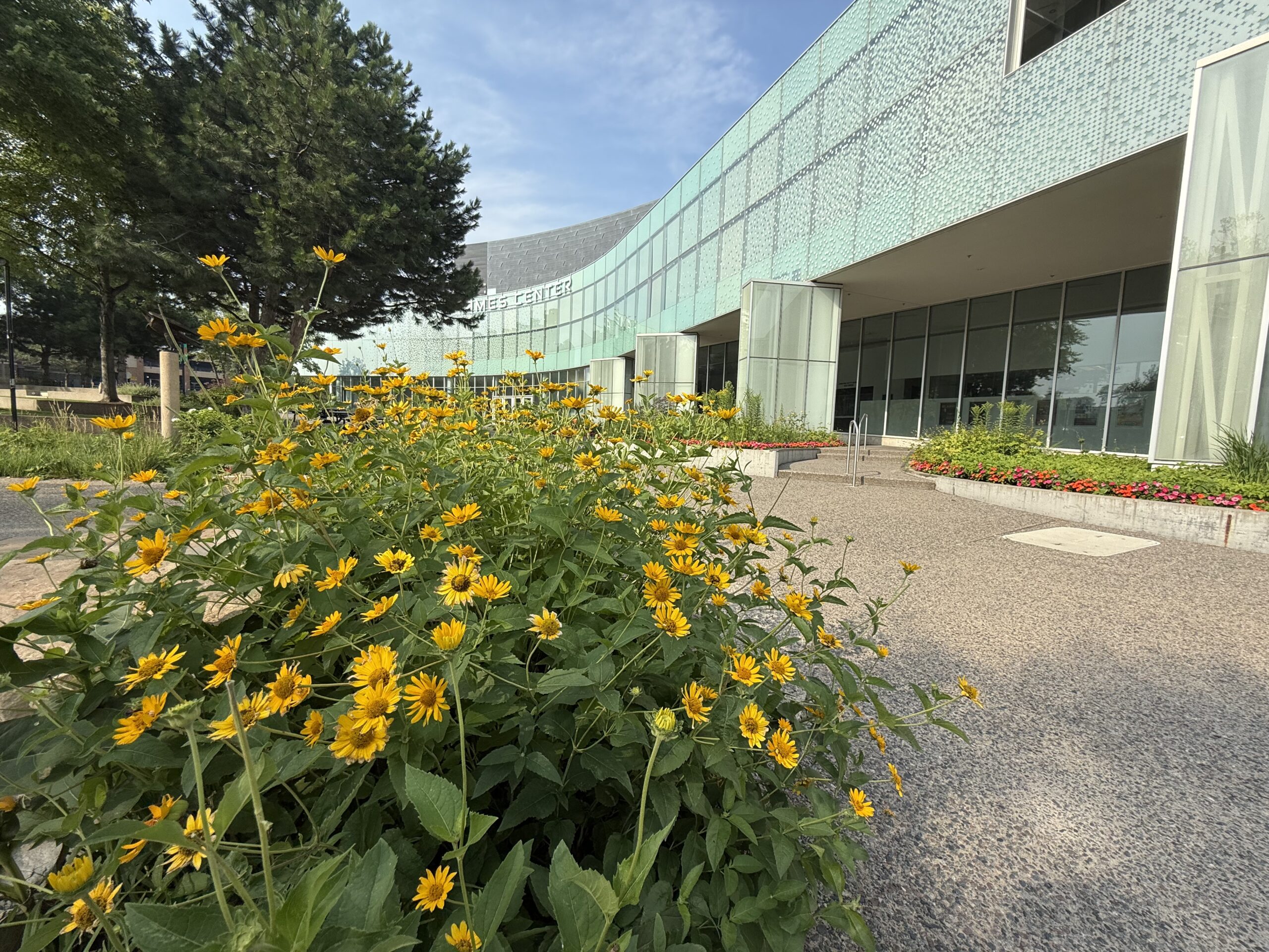 Ames Center Burnsville