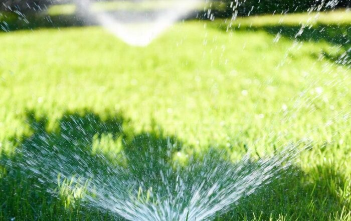 Spring Startup Series for HOAs