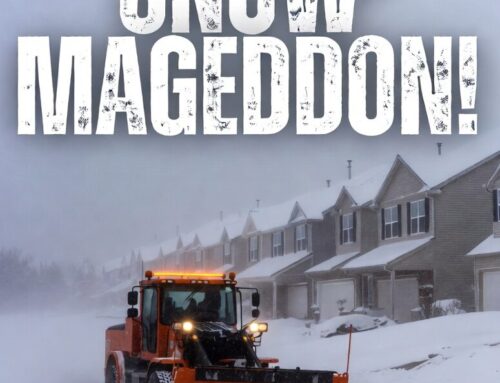 A Blizzardy Blizzard