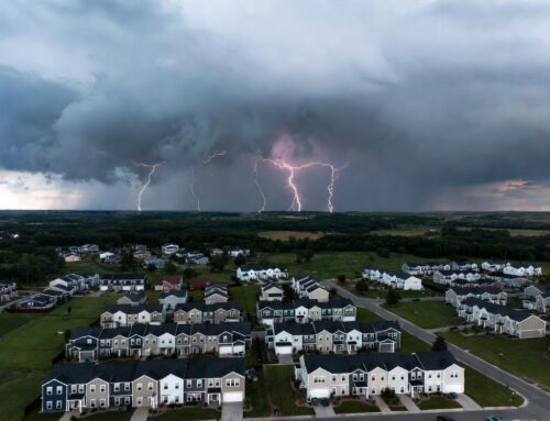 Protect Your Property