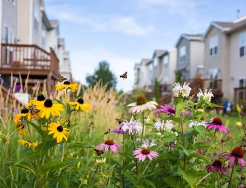 The HOA Pollinator